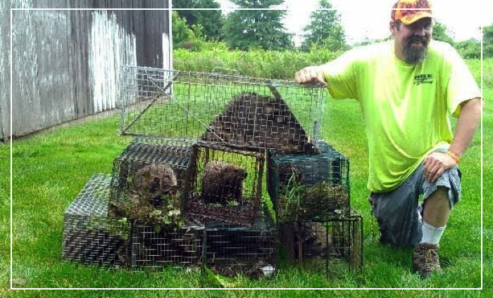 Duck Duck Goose Wildlife Control - Business Photo Gallery Image
