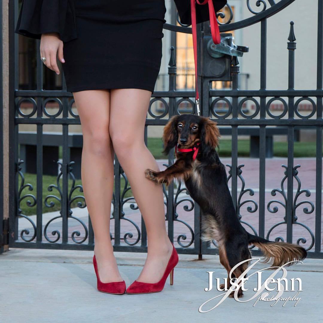Studio J Photography - Wedding Photographer - Business Photo Gallery Image