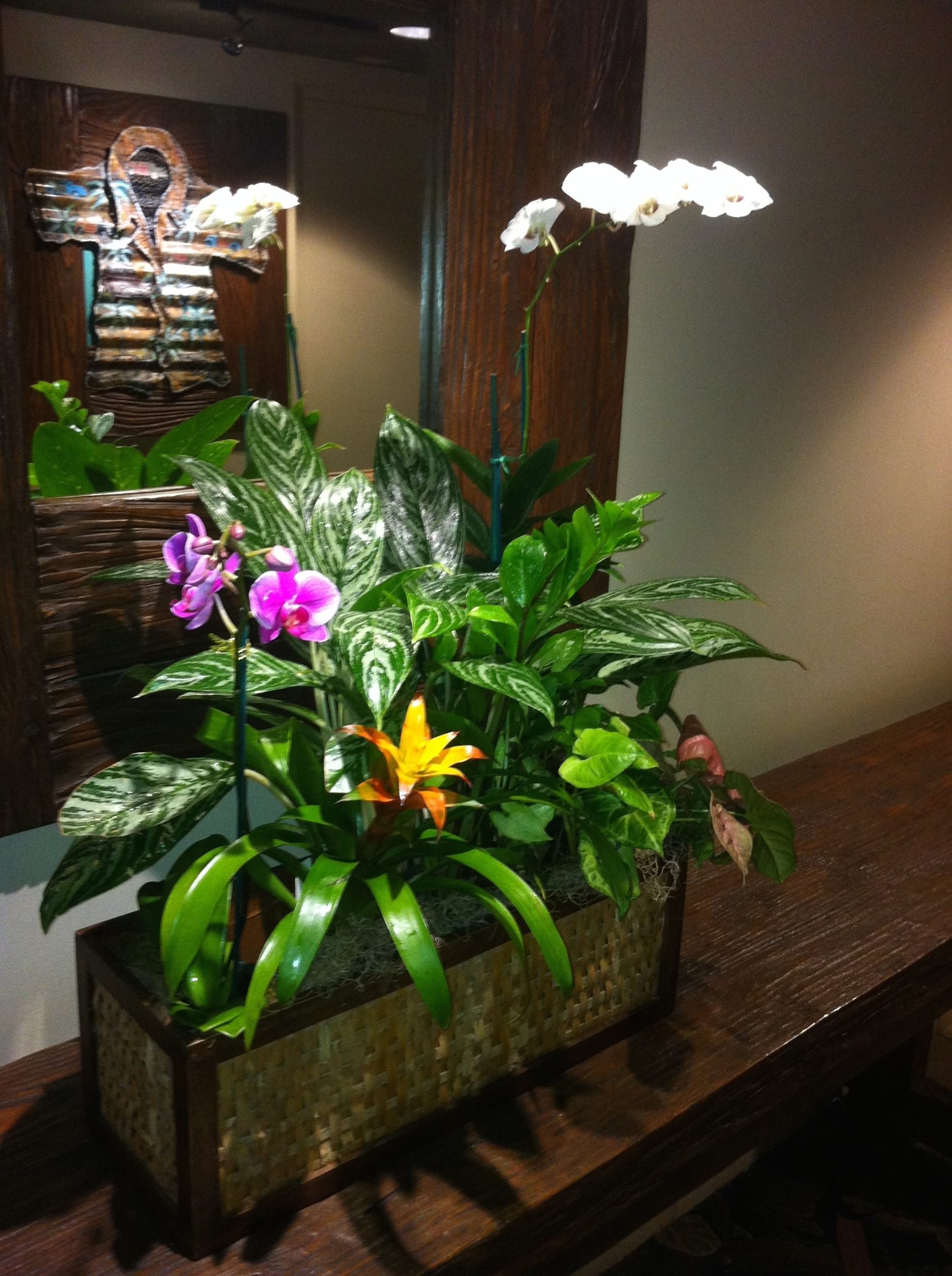 Ohana Plant Works Inc - Business Photo Gallery Image