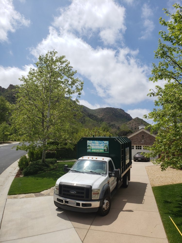 Pineda's Tree Care Inc - Business Photo Gallery Image