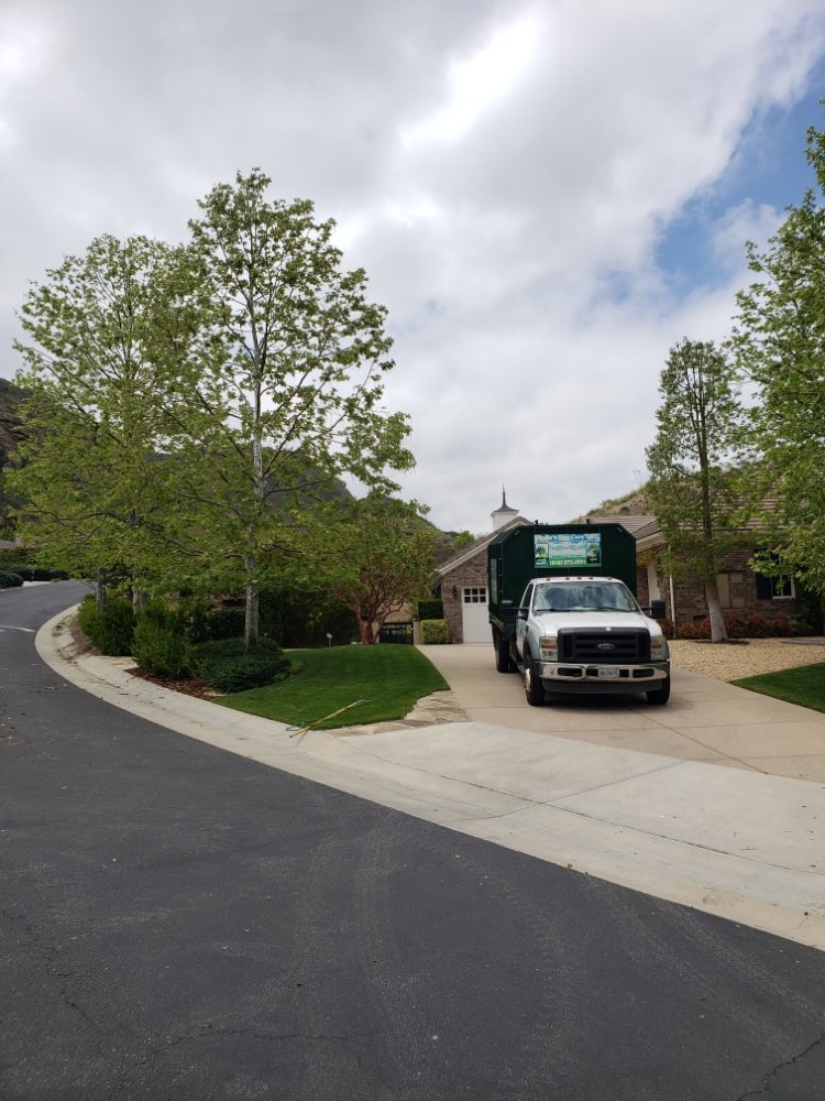 Pineda's Tree Care Inc - Business Photo Gallery Image