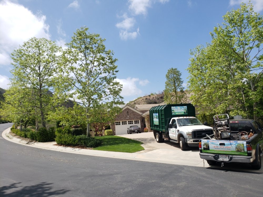 Pineda's Tree Care Inc - Business Photo Gallery Image