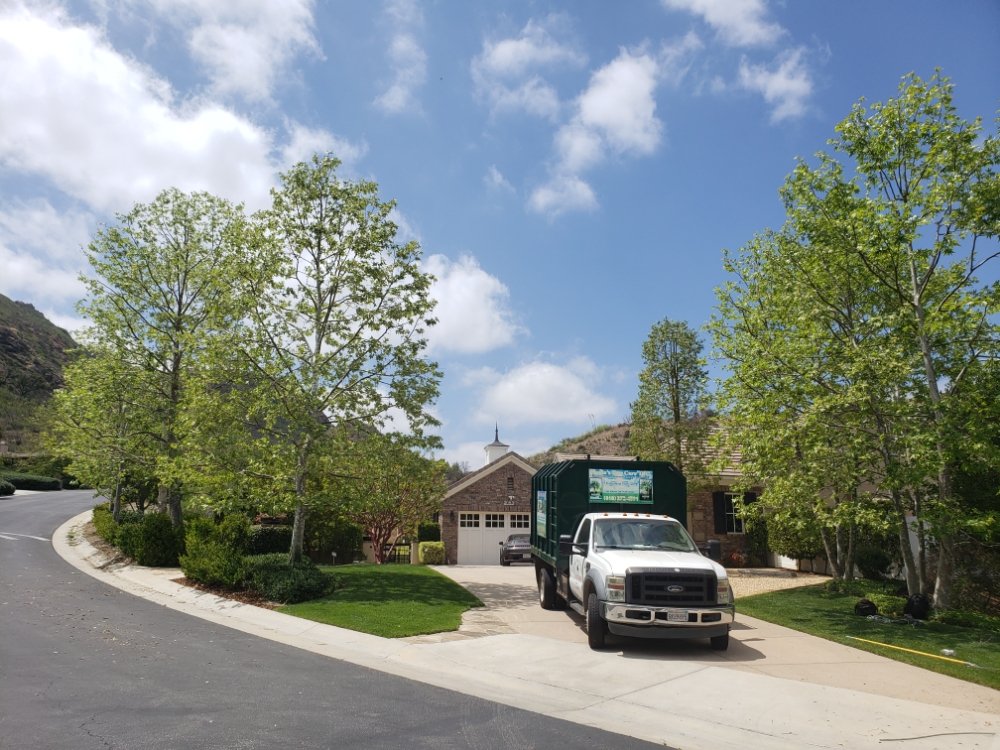 Pineda's Tree Care Inc - Business Photo Gallery Image