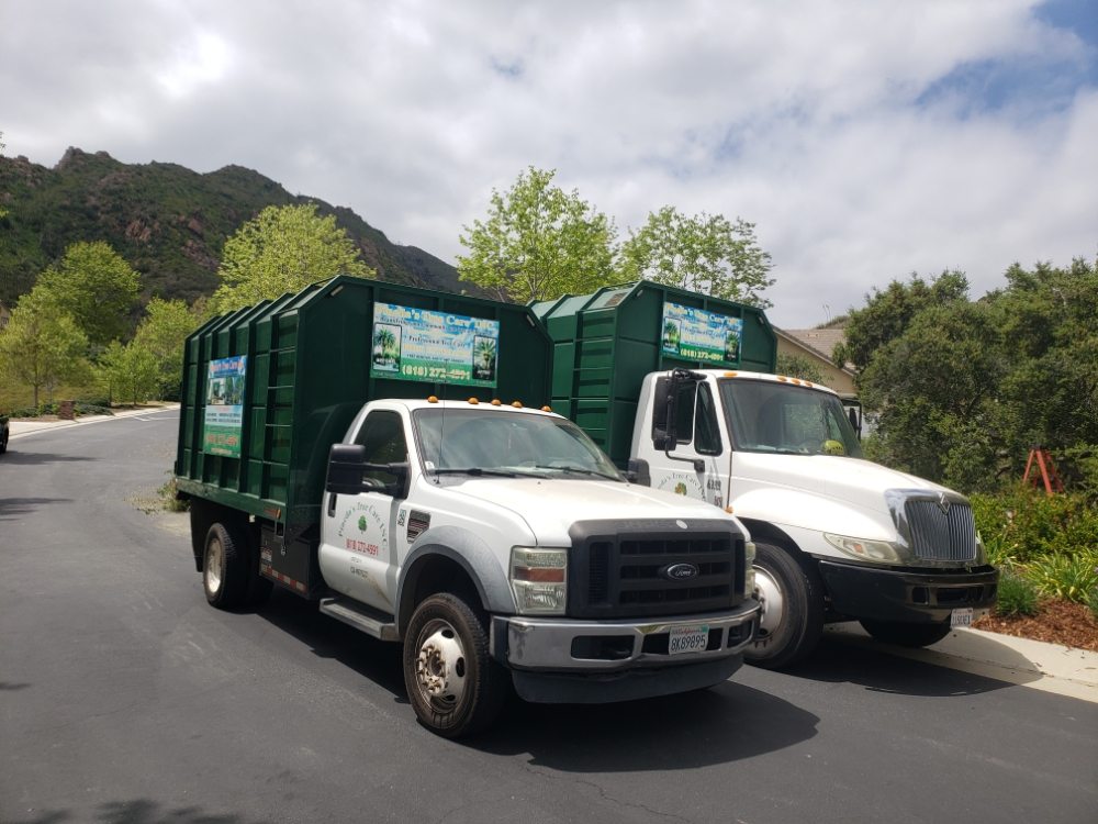 Pineda's Tree Care Inc - Business Photo Gallery Image
