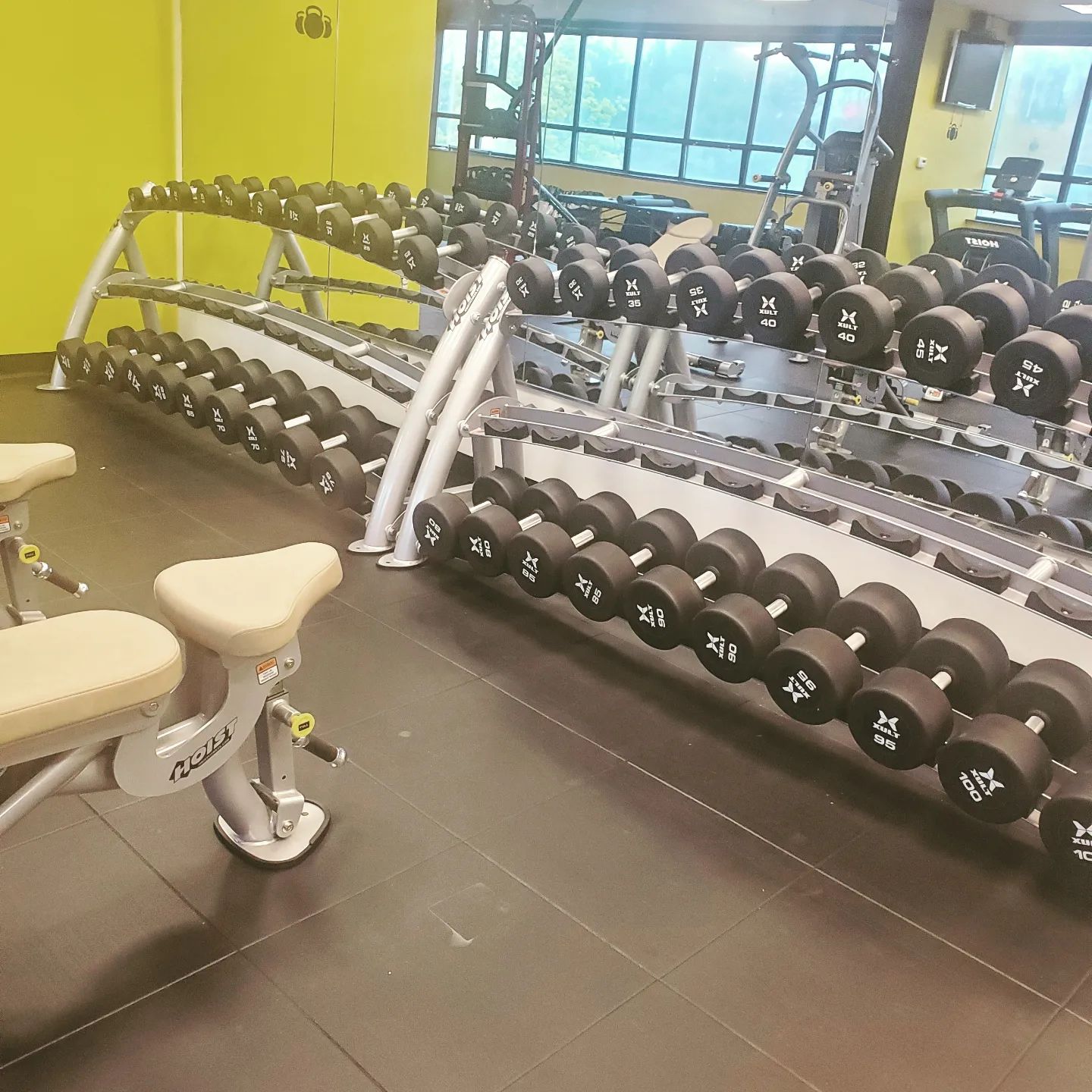 Wild Blast Fitness - Business Photo Gallery Image