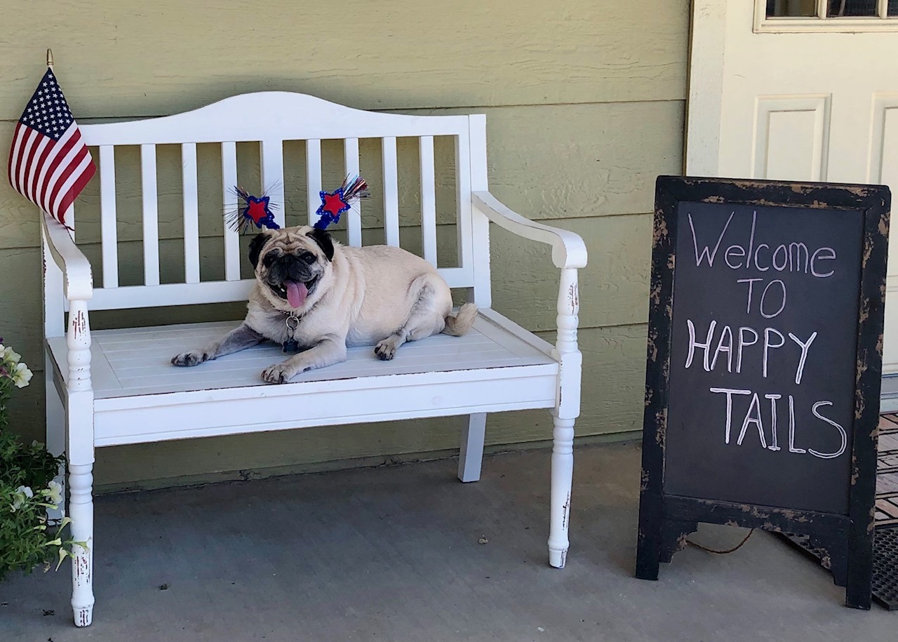 Happy Tails Pet Resort - Business Photo Gallery Image