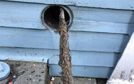 Limitless Sewer Solutions, LLC - Business Photo Gallery Image