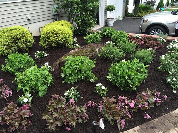 Roberto Capparelli Landscape Inc - Business Photo Gallery Image