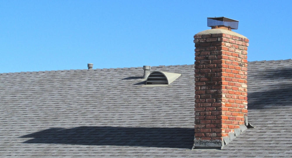 Bad Ash Chimney Care - Business Photo Gallery Image