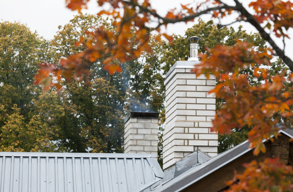 Bad Ash Chimney Care - Business Photo Gallery Image