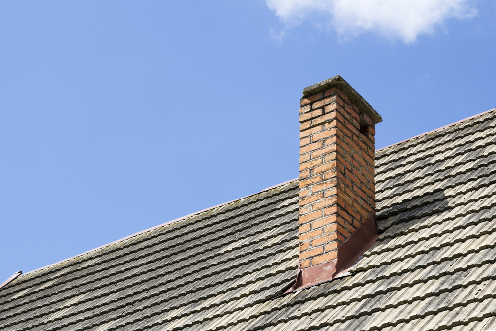 Bad Ash Chimney Care - Business Photo Gallery Image