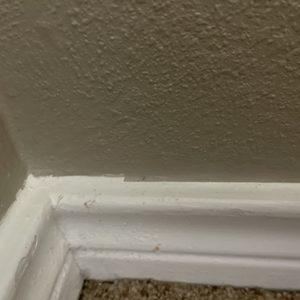 Strictly Painting and Drywall Repairs - Business Photo Gallery Image