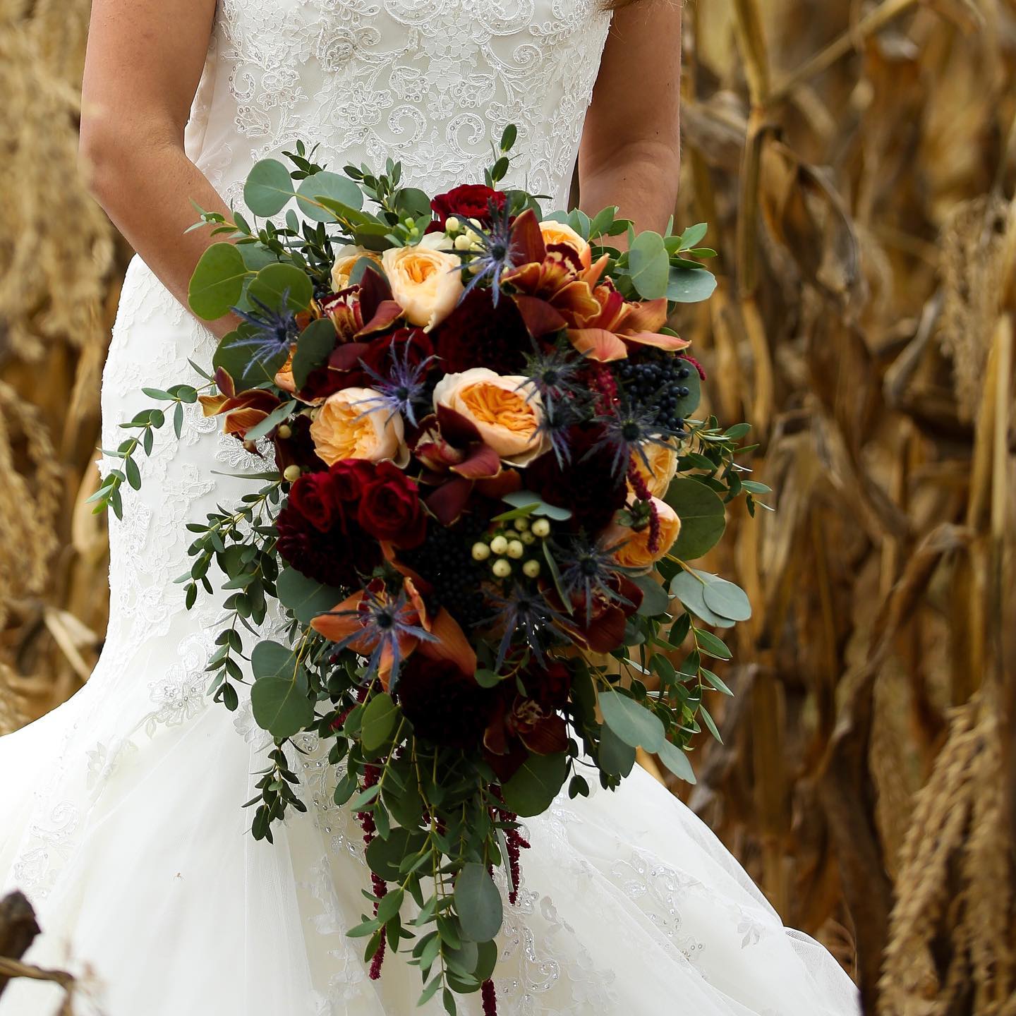 Fanny's Flowers - Business Photo Gallery Image