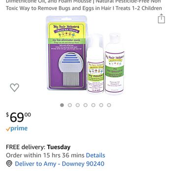 My Hair Helpers Santa Barbara Head Lice Treatment and Lice Removal Service - Business Photo Gallery Image