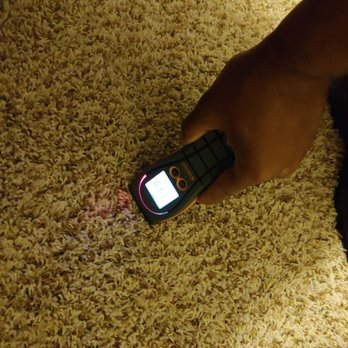 AIM Green Restoration LLC - Business Photo Gallery Image