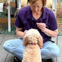 Pawsitively Polite Dog Training - Business Photo Gallery Image