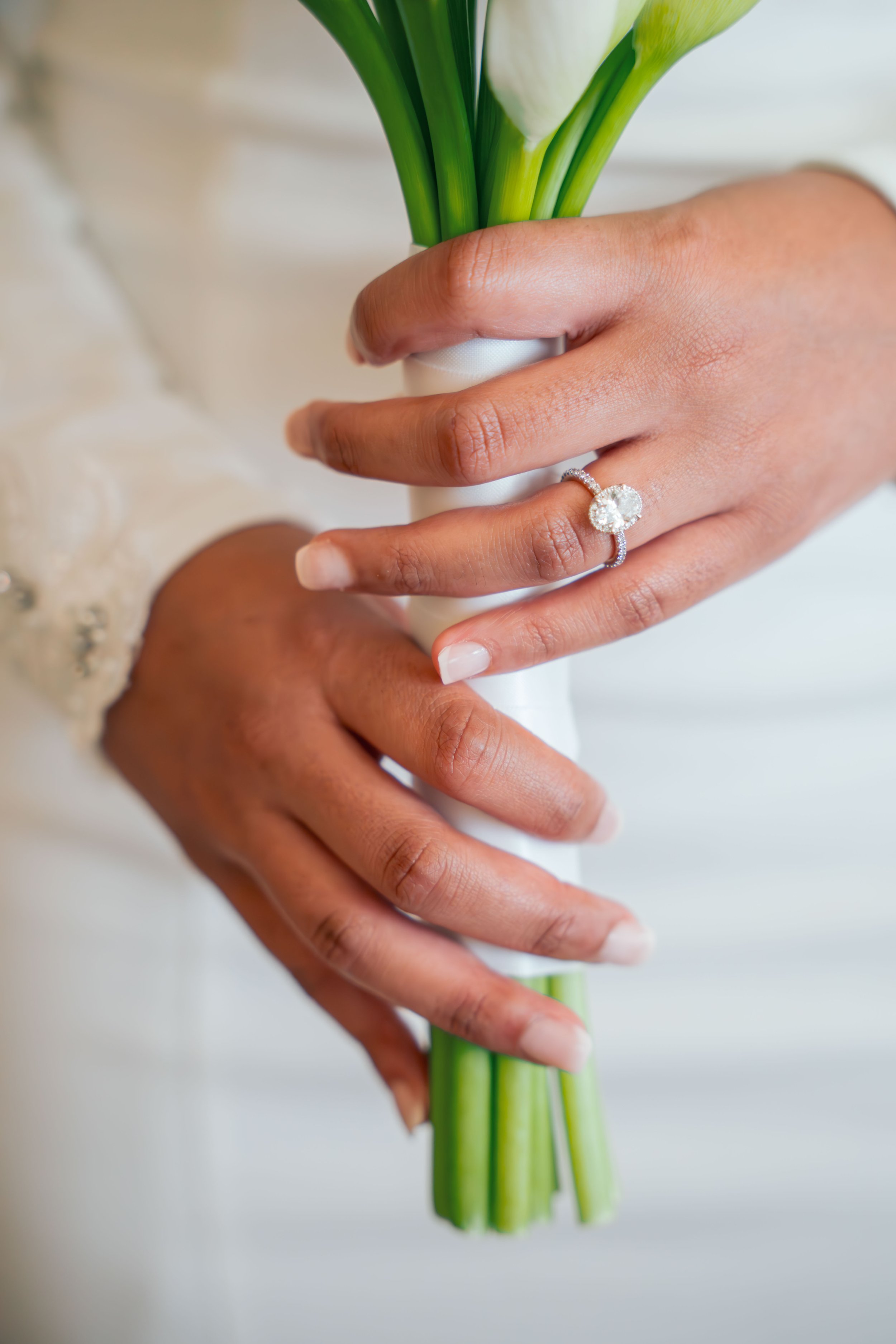 Jesse Sieden Photography/Videography - Business Photo Gallery Image