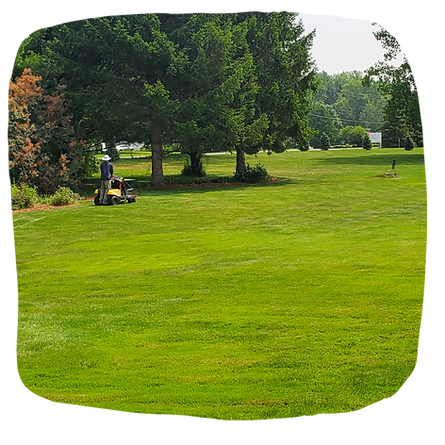 The Real M'Coye Lawn & Pest - Business Photo Gallery Image