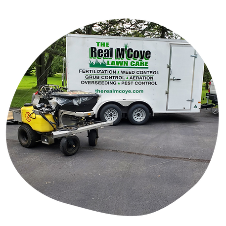 The Real M'Coye Lawn & Pest - Business Photo Gallery Image