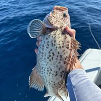 Gotcha Sportfishing - Business Photo Gallery Image