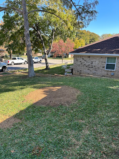 Mercer Tree Service - Business Photo Gallery Image