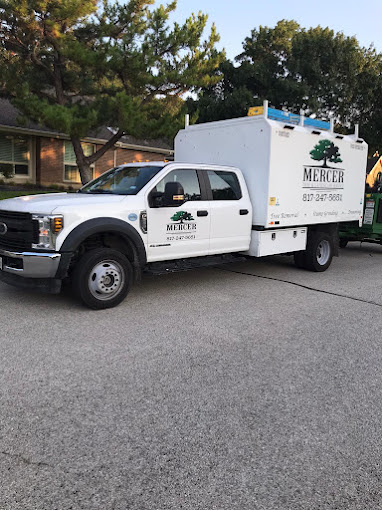 Mercer Tree Service - Business Photo Gallery Image