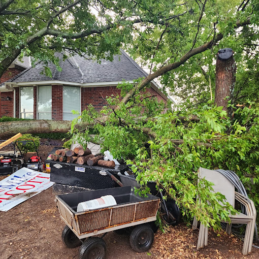 Mercer Tree Service - Business Photo Gallery Image