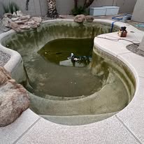 Good Life Pool & Spa - Business Photo Gallery Image
