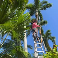 Lawn Care Flamingo - Business Photo Gallery Image