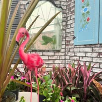Lawn Care Flamingo - Business Photo Gallery Image