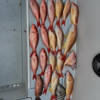 Holy Smokes Fishing Charters - Business Photo Gallery Image