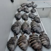 Holy Smokes Fishing Charters - Business Photo Gallery Image