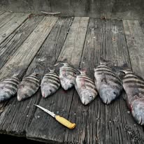 Holy Smokes Fishing Charters - Business Photo Gallery Image