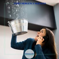 Service Pro - Business Photo Gallery Image