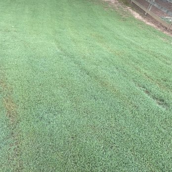 Red Beard Lawn Care - Business Photo Gallery Image