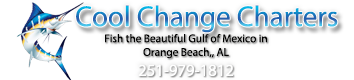 Cool Change Charters - Logo