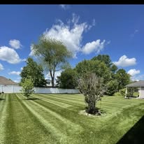 Euro Lawn & Tree Service - Business Photo Gallery Image