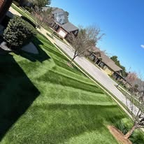 Euro Lawn & Tree Service - Business Photo Gallery Image