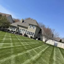 Euro Lawn & Tree Service - Business Photo Gallery Image