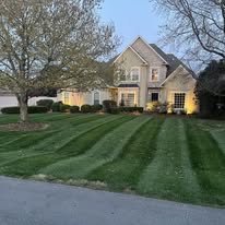 Euro Lawn & Tree Service - Business Photo Gallery Image