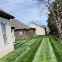 Euro Lawn & Tree Service - Business Photo Gallery Image
