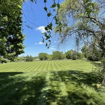 Euro Lawn & Tree Service - Business Photo Gallery Image