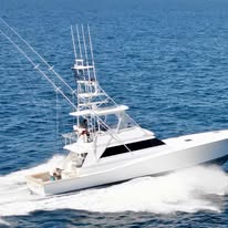 Fly'n Fish Sportfishing - Business Photo Gallery Image