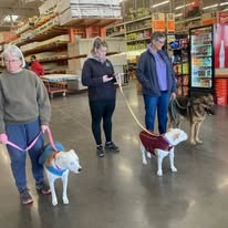 Ruff Puppy Boarding & Training - Business Photo Gallery Image