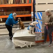 Ruff Puppy Boarding & Training - Business Photo Gallery Image