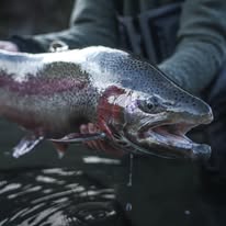 Outgoing Angling - Business Photo Gallery Image