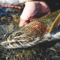 Outgoing Angling - Business Photo Gallery Image