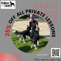 Follow My Lead Dog Training - Business Photo Gallery Image