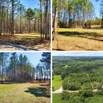 Tiffany Miller Real Estate - Business Photo Gallery Image