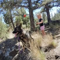Dog Training Elite Mid Oregon - Business Photo Gallery Image